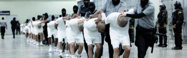 The ugly history behind the obscure law Trump is using for mass deportations