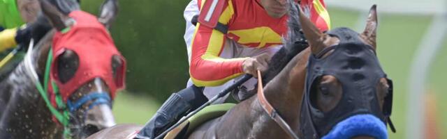 How To Bet On Preakness Stakes 2025 In Utah