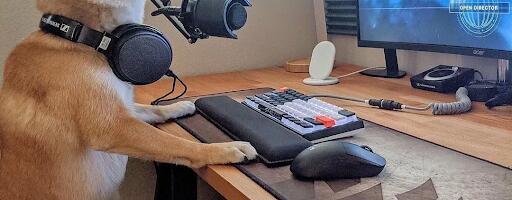 Почему после коротких видео и ленты так тяжело вернуться к нормальной работе