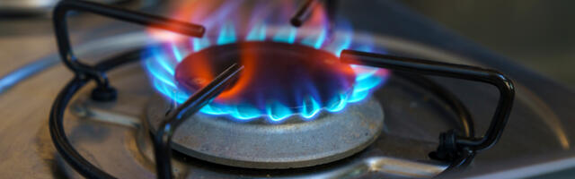 A Study Found Asthma Improves After Switching From a Gas Stove to Electric
