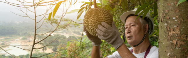 APAC will dominate the digital economy with RCEP