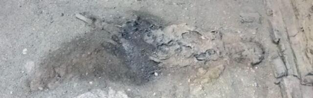 Study: Hot Vesuvian ash cloud really did turn a brain to glass