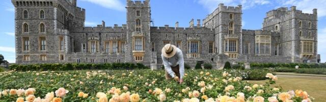 See inside Windsor Castle, the largest occupied castle in the world with around 1,000 rooms