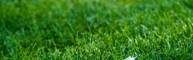 Как мы продавали компьютеры в 90-х. Часть #02