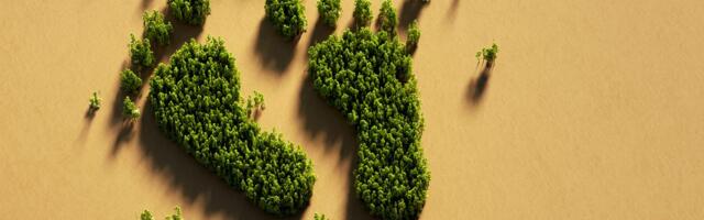 Just Under 1 in 3 SME Owners Under 25 Feels Guilty About Not Tackling Their Carbon Emissions