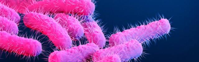 ‘Alarming’: A Dangerous Diarrhea-Causing Superbug Is Spreading in Los Angeles