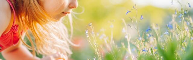 We’re on the verge of a universal allergy cure