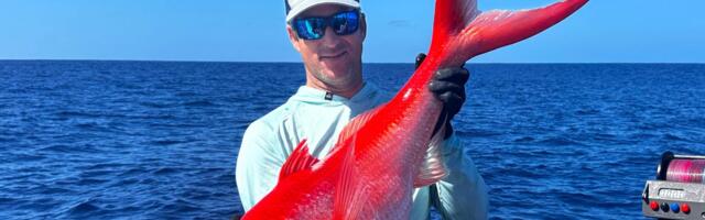 I'm a world-record spearfisher turned yacht broker. Here's how I got into helping the ultrawealthy find the right boat.