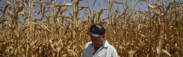 The climate crisis is coming for your groceries