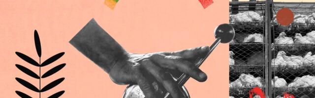 Vegans are radical. That’s why we need them.