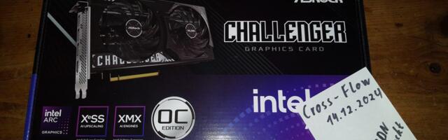 ASRock Challenger Arc B570 lands in the hands of user a month before launch — Reportedly sips just 10W of power at idle and runs a handful of games despite no official driver support