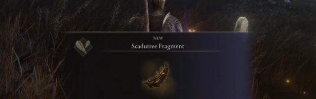 How to get Scadutree Fragments in Elden Ring: Shadow of the Erdtree