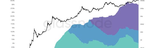 Bitcoin’s Old Guard Still Growing Despite Whale Selling
