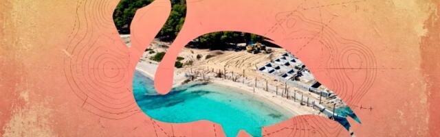 What Albania’s Flamingo Revolution Tells Us About Sovereign Capital’s Coastline Problem