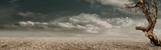 Parallels of Brain Science, Mental Health, Climate Change and War
