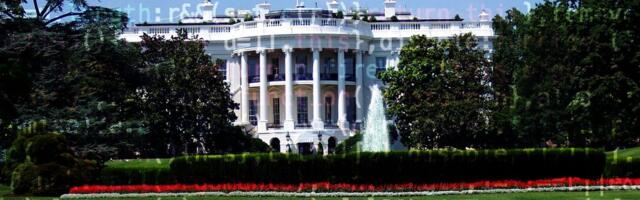 White House urges developers to avoid C and C++, use 'memory-safe' programming languages
