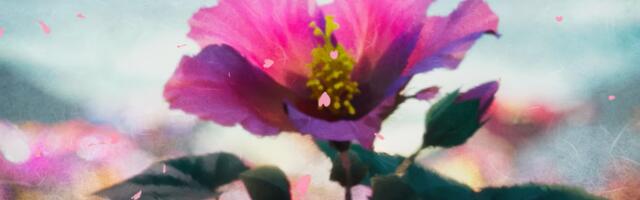 Okami sequel in the works with Capcom and Hideki Kamiya's new studio, Clovers