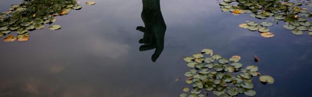 Israel, Gaza, and what it means to broaden our moral circle in a time of horror