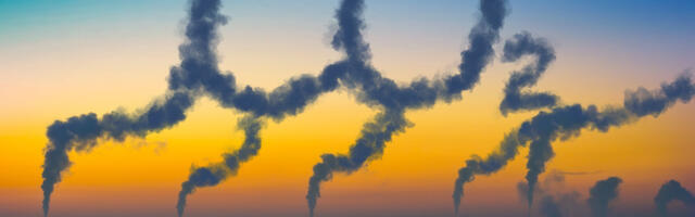 Companies are using more AI than ever - and many are happy to turn a blind eye to its environmental impact