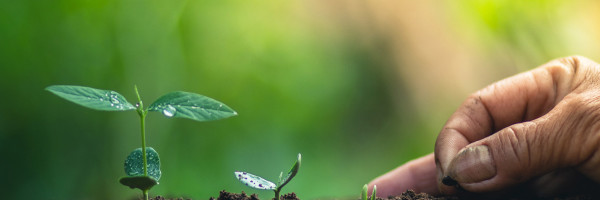 Brightseed raises $27 million for phytonutrient identification tech used in food and nutraceuticals