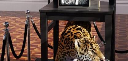 Blackdove Code and Canvas: The Digital Art Genome, CONTEXT, Art Miami