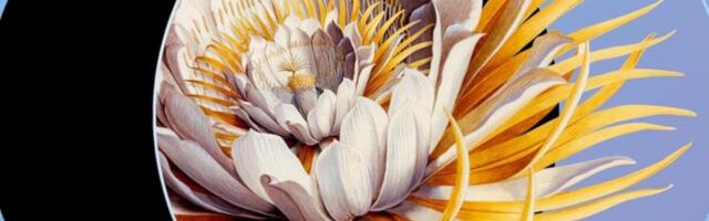 72 New Sci-Fi, Fantasy, and Horror Books Arriving in April