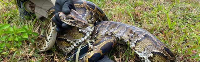 Rethinking the war on invasive species