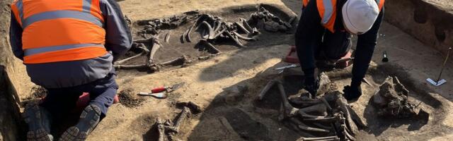 Intel's Germany chip fab site yields discovery of 6,000-year-old burial mounds — no word yet about potential construction delays