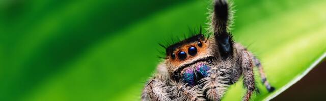 These two numbers prove how much we depend on wild animals