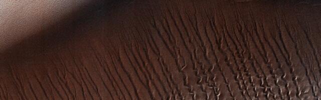 An Earth scientist solved a Mars mystery about what dug these weird ditches