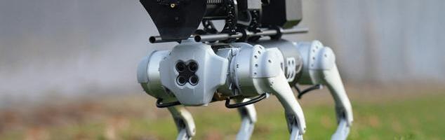 Как я использую рои робопсов