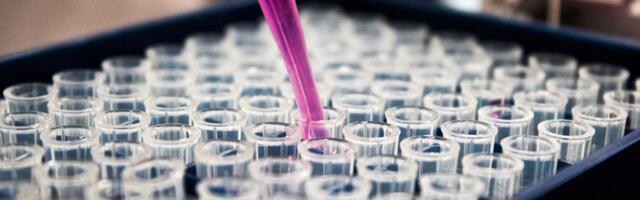 EverImmune secures €3.5M from Bpifrance to fund drug trial in cancer patients