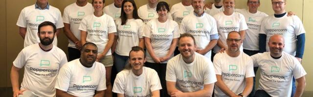 PeppercornAI raises £3.25M to help insurance keep up with AI