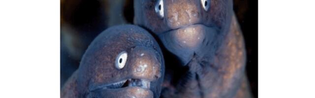 Как написать постановку на разработку, чтобы ни у кого не было вопросов