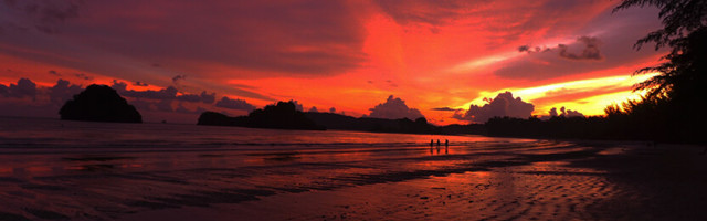 Creative ways to build a strong SEO culture in your company