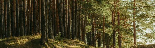 Green PRAXIS raises Seed funding for natural asset management
