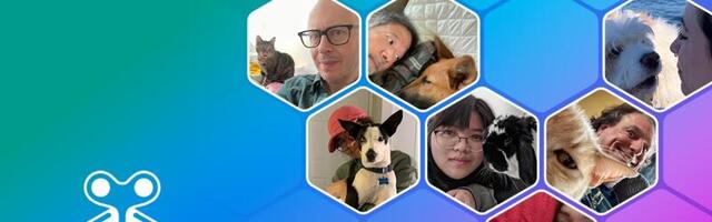 Windup Minds raises $1.6M to build virtual pets in VR and MR