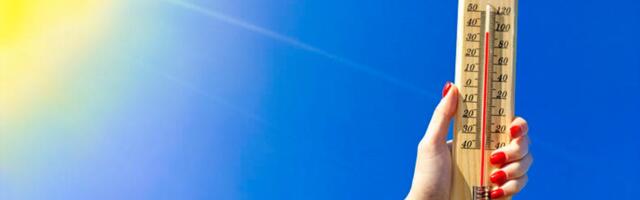 These 10 Cooling Hacks Are the Reason My House Doesn't Feel Like a Sauna