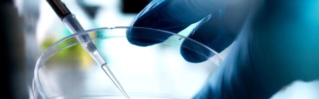 Florida Is Now a Haven for Unproven Stem-Cell Treatments