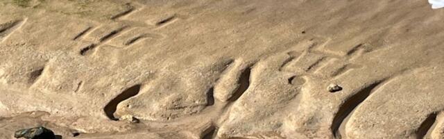 Mysterious Petroglyphs Reemerge on Oahu Beach