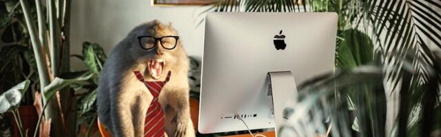 5 job hunting tips to get your dream role in 2023
