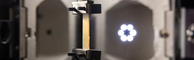 Scientists Just Turned Silkworm Silk Into a Near-Kevlar Supermaterial