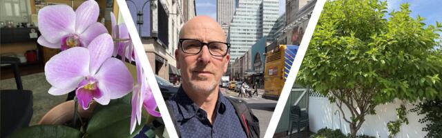 I transformed photos — and how I see the world — with iOS 27 Dev Beta Apple Intelligence Photo tools, and with this kind of power comes great responsibility