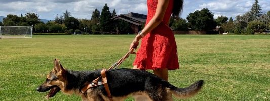 Mixtape podcast: Making technology accessible for everyone