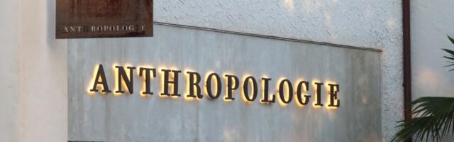 Would you buy a $1,000 Anthropologie rock? The viral trend explained.