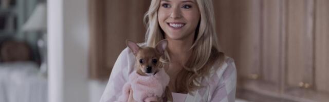 I would like Elle better if it wasnt a Legally Blonde prequel