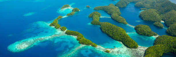 Palau’s Digital Finance Future: Small Island, Global Connections