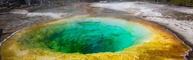 Sulfur’s relationship with the origin of life