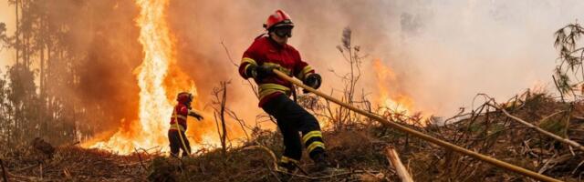 How the source of your tissues and toilet paper is fueling wildfires thousands of miles away