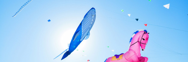 Kite adds support for 11 new languages to its AI code completion tool